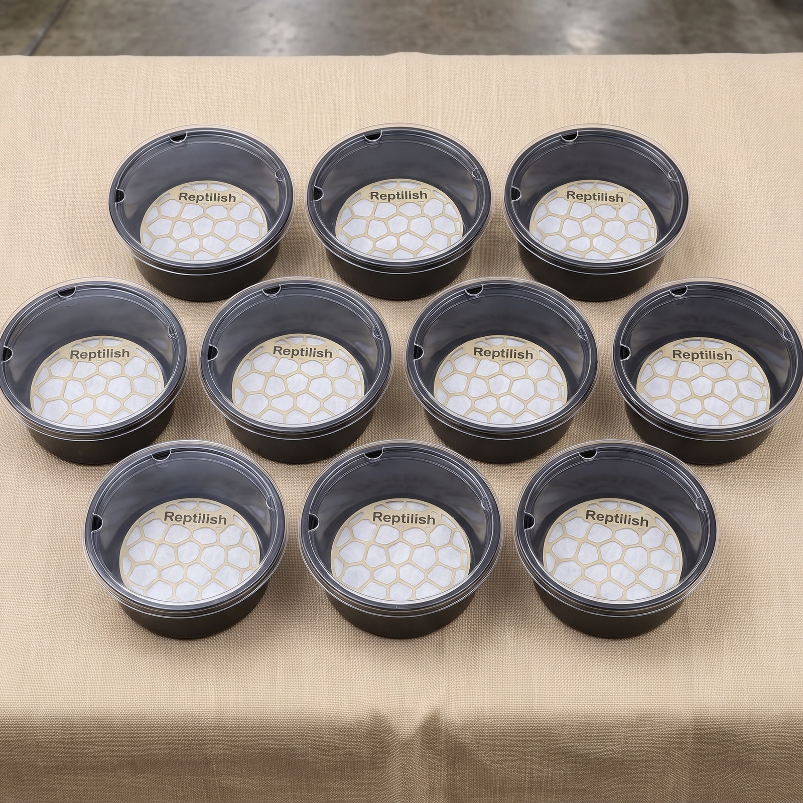 爬蟲展攤位的展示桌上，排成一列、蓋著壓克力蓋的布丁杯